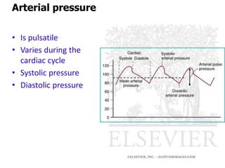 • Is pulsatile
• Varies during the
cardiac cycle
• Systolic pressure
• Diastolic pressure
Arterial pressure
 