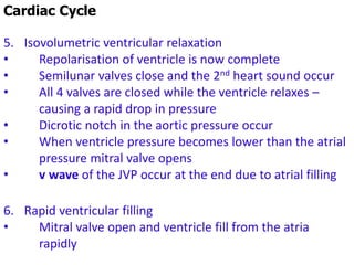 Cardiac Cycle
5. Isovolumetric ventricular relaxation
• Repolarisation of ventricle is now complete
• Semilunar valves close and the 2nd heart sound occur
• All 4 valves are closed while the ventricle relaxes –
causing a rapid drop in pressure
• Dicrotic notch in the aortic pressure occur
• When ventricle pressure becomes lower than the atrial
pressure mitral valve opens
• v wave of the JVP occur at the end due to atrial filling
6. Rapid ventricular filling
• Mitral valve open and ventricle fill from the atria
rapidly
 