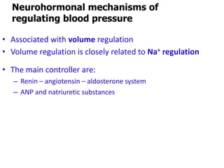 C =
Neurohormonal mechanisms of
regulating blood pressure
• Associated with volume regulation
• Volume regulation is closely related to Na+ regulation
• The main controller are:
– Renin – angiotensin – aldosterone system
– ANP and natriuretic substances
 