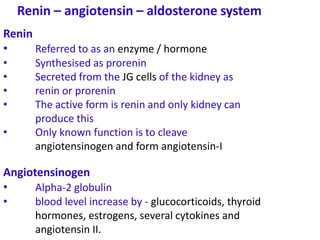 C =
Renin – angiotensin – aldosterone system
Renin
• Referred to as an enzyme / hormone
• Synthesised as prorenin
• Secreted from the JG cells of the kidney as
• renin or prorenin
• The active form is renin and only kidney can
produce this
• Only known function is to cleave
angiotensinogen and form angiotensin-I
Angiotensinogen
• Alpha-2 globulin
• blood level increase by - glucocorticoids, thyroid
hormones, estrogens, several cytokines and
angiotensin II.
 