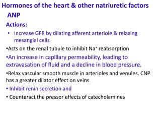 Hormones of the heart & other natriuretic factors
Actions:
• Increase GFR by dilating afferent arteriole & relaxing
mesangial cells
•Acts on the renal tubule to inhibit Na+ reabsorption
•An increase in capillary permeability, leading to
extravasation of fluid and a decline in blood pressure.
•Relax vascular smooth muscle in arterioles and venules. CNP
has a greater dilator effect on veins
• Inhibit renin secretion and
• Counteract the pressor effects of catecholamines
ANP
 