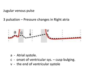 Jugular venous pulse
3 pulsation – Pressure changes in Right atria
a - Atrial systole.
c - onset of ventricular sys. – cusp bulging.
v - the end of ventricular systole
 
