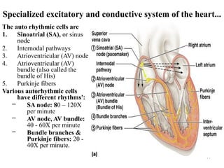 CVS-Physiology.power point fo HO students | PPTX