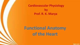 Cardiovascular Physiology
by
Prof. R. K. Marya
Functional Anatomy
of the Heart
 
