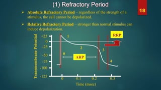 Cardiovascular physiology | PPTX