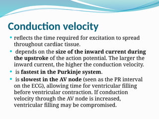 Cardiovascular System Physiology for Medical Students 2.pptx