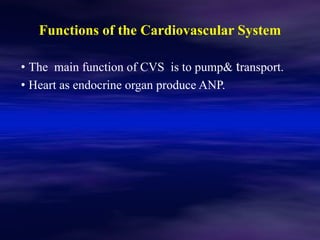 CVS cardiovascular system lecture one (1) | PDF