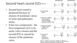 CVS examination in detail given in paper | PPTX