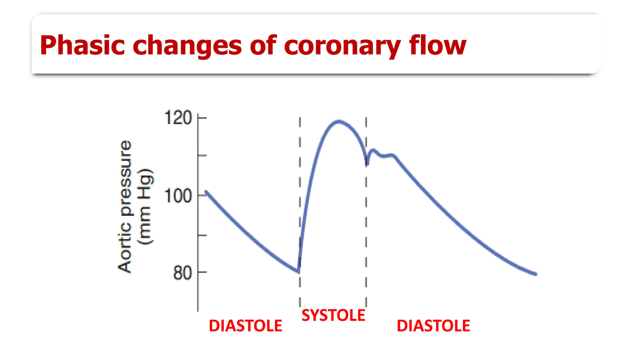 Phasic changes of coronary flow
SYSTOLE
DIASTOLE
DIASTOLE
 