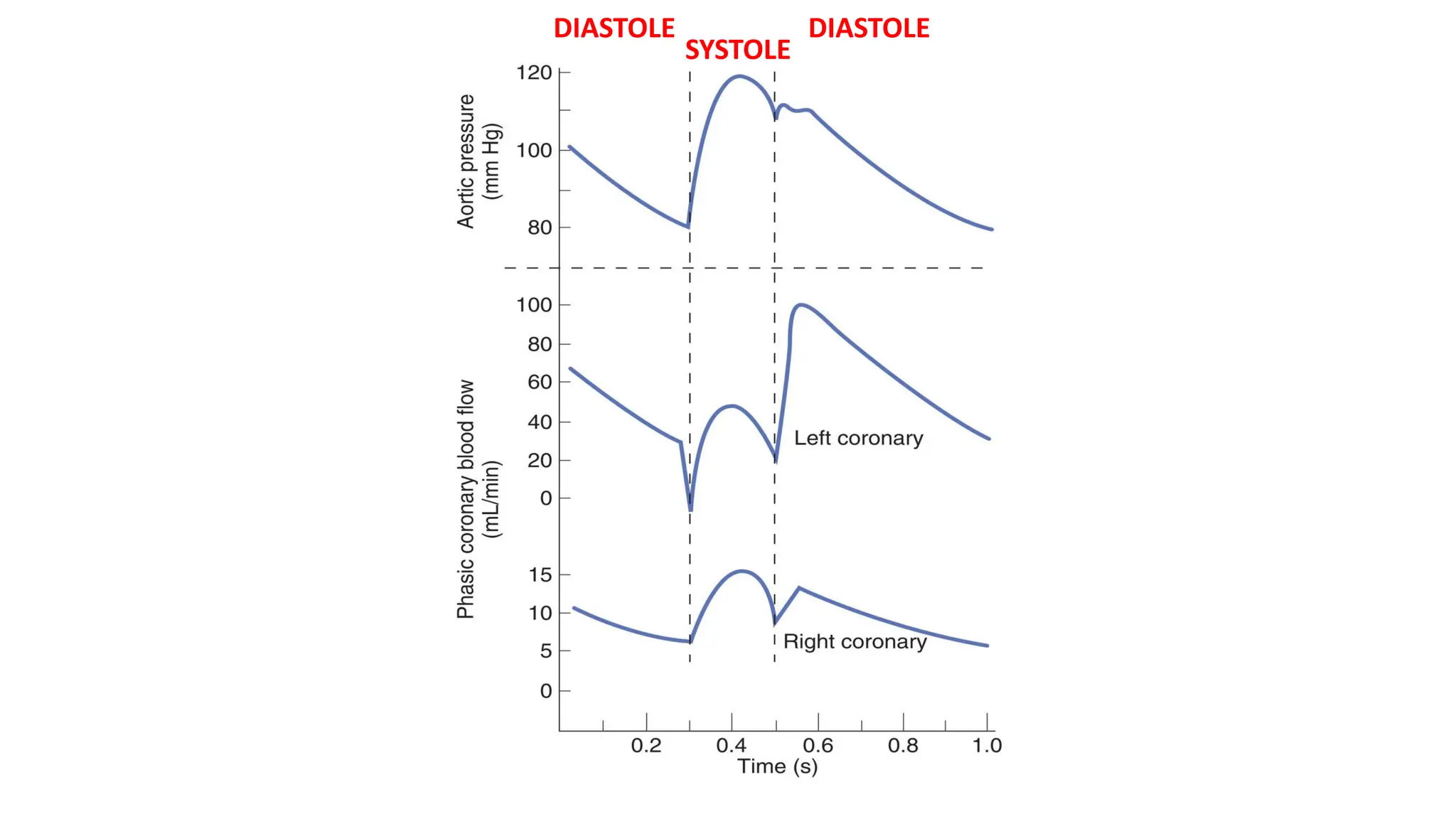 SYSTOLE
DIASTOLE
DIASTOLE
 