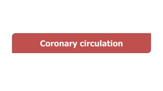 Coronary circulation
 