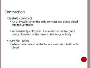 Contraction
• Systole - contract
⚬Atrial Systole: when the atria contract and pump blood
into the ventricles
⚬Ventricular Systole: when the ventricles contract and
pump blood out of the heart to the lungs or body
• Diastole - relax
⚬When the atria and ventricles relax and start to fill with
blood
 