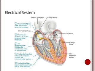 Electrical System
 