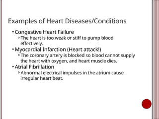 Examples of Heart Diseases/Conditions
• Congestive Heart Failure
⚬The heart is too weak or stiff to pump blood
effectively.
• Myocardial Infarction (Heart attack!)
⚬The coronary artery is blocked so blood cannot supply
the heart with oxygen, and heart muscle dies.
• Atrial Fibrillation
⚬Abnormal electrical impulses in the atrium cause
irregular heart beat.
 