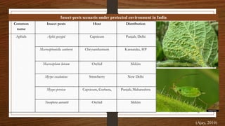 Pest Management Approaches Under Protected Cultivation | PPTX