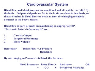 Cardiovascular System Blood flow  and blood pressure are monitored and ultimately controlled by the brain.  Peripheral signals are fed to the brain on a beat to beat basis, so that alterations in blood flow can occur to meet the changing metabolic demands of the body’s tissues. Blood flow in part, depends on maintaining an appropriate BP.  Three main factors influencing BP are: 1. Cardiac Output 2. Peripheral Resistance 3. Blood Volume Remember Blood Flow  =    Pressure Resistance By rearranging so Pressure is isolated, this becomes   Blood Pressure =  Blood Flow X  Resistance  OR   =  CO  X  Peripheral Resistance 