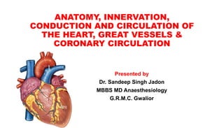 ANATOMY, INNERVATION,
CONDUCTION AND CIRCULATION OF
THE HEART, GREAT VESSELS &
CORONARY CIRCULATION
Presented by
Dr. Sandeep Singh Jadon
MBBS MD Anaesthesiology
G.R.M.C. Gwalior
 