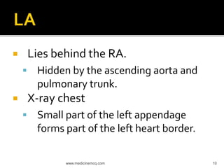  Lies behind the RA.
 Hidden by the ascending aorta and
pulmonary trunk.
 X-ray chest
 Small part of the left appendage
forms part of the left heart border.
10www.medicinemcq.com
 