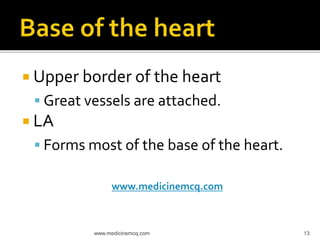  Upper border of the heart
 Great vessels are attached.
 LA
 Forms most of the base of the heart.
www.medicinemcq.com
13www.medicinemcq.com
 