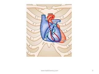 3www.medicinemcq.com
 