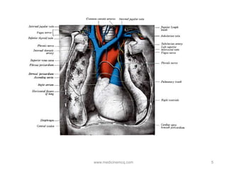5www.medicinemcq.com
 