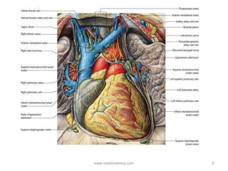 6www.medicinemcq.com
 