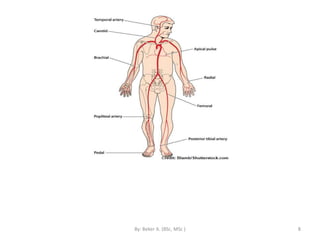 CVS and abdomen.pptx