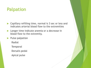 Palpation
 Capillary refilling time, normal is 3 sec or less and
indicates arterial blood flow to the extremities
 Longer time indicate anemia or a decrease in
blood flow to the extremity.
 Pulse palpation
Radial
Temporal
Dorsalis pedal
Apical pulse
 
