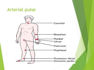 Arterial pulse
 