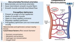 Cardiovascular Physiology: Hemodynamics, Blood Flow & Pressure ...