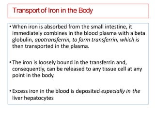 Transportof Iron in the Body
•When iron is absorbed from the small intestine, it
immediately combines in the blood plasma with a beta
globulin, apotransferrin, to form transferrin, which is
then transported in the plasma.
•The iron is loosely bound in the transferrin and,
consequently, can be released to any tissue cell at any
point in the body.
•Excess iron in the blood is deposited especially in the
liver hepatocytes
 