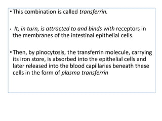 •This combination is called transferrin.
• It, in turn, is attracted to and binds with receptors in
the membranes of the intestinal epithelial cells.
•Then, by pinocytosis, the transferrin molecule, carrying
its iron store, is absorbed into the epithelial cells and
later released into the blood capillaries beneath these
cells in the form of plasma transferrin
 