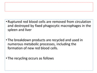 •Ruptured red blood cells are removed from circulation
and destroyed by fixed phagocytic macrophages in the
spleen and liver
•The breakdown products are recycled and used in
numerous metabolic processes, including the
formation of new red blood cells.
•The recycling occurs as follows
 