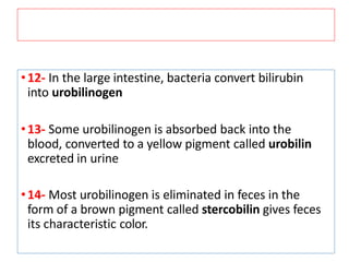 •12- In the large intestine, bacteria convert bilirubin
into urobilinogen
•13- Some urobilinogen is absorbed back into the
blood, converted to a yellow pigment called urobilin
excreted in urine
•14- Most urobilinogen is eliminated in feces in the
form of a brown pigment called stercobilin gives feces
its characteristic color.
 