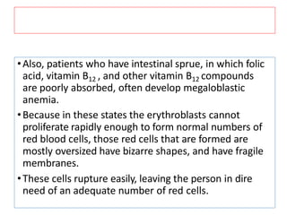 •Also, patients who have intestinal sprue, in which folic
acid, vitamin B12 , and other vitamin B12 compounds
are poorly absorbed, often develop megaloblastic
anemia.
•Because in these states the erythroblasts cannot
proliferate rapidly enough to form normal numbers of
red blood cells, those red cells that are formed are
mostly oversized have bizarre shapes, and have fragile
membranes.
•These cells rupture easily, leaving the person in dire
need of an adequate number of red cells.
 