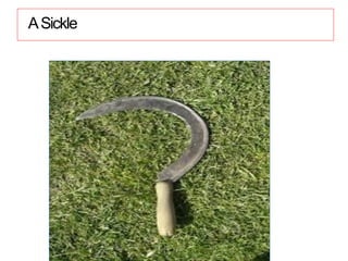 ASickle
 