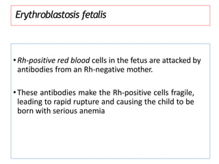 Erythroblastosis fetalis
•Rh-positive red blood cells in the fetus are attacked by
antibodies from an Rh-negative mother.
•These antibodies make the Rh-positive cells fragile,
leading to rapid rupture and causing the child to be
born with serious anemia
 
