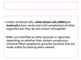 •Unlike red blood cells, white blood cells (WBCs) or
leukocytes have nuclei and a full complement of other
organelles but they do not contain hemoglobin
•WBCs are classified as either granular or agranular,
depending on whether they contain conspicuous
chemical-filled cytoplasmic granules (vesicles) that are
made visible by staining when viewed
 