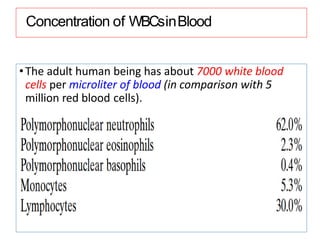 Concentration of WBCsinBlood
•The adult human being has about 7000 white blood
cells per microliter of blood (in comparison with 5
million red blood cells).
 