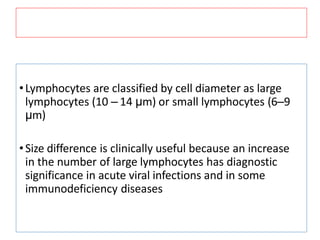 •Lymphocytes are classified by cell diameter as large
lymphocytes (10 – 14 μm) or small lymphocytes (6–9
μm)
•Size difference is clinically useful because an increase
in the number of large lymphocytes has diagnostic
significance in acute viral infections and in some
immunodeficiency diseases
 