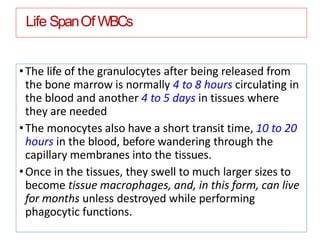 Life SpanOf WBCs
•The life of the granulocytes after being released from
the bone marrow is normally 4 to 8 hours circulating in
the blood and another 4 to 5 days in tissues where
they are needed
•The monocytes also have a short transit time, 10 to 20
hours in the blood, before wandering through the
capillary membranes into the tissues.
•Once in the tissues, they swell to much larger sizes to
become tissue macrophages, and, in this form, can live
for months unless destroyed while performing
phagocytic functions.
 