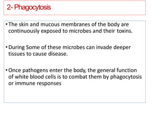 2- Phagocytosis
•The skin and mucous membranes of the body are
continuously exposed to microbes and their toxins.
•During Some of these microbes can invade deeper
tissues to cause disease.
•Once pathogens enter the body, the general function
of white blood cells is to combat them by phagocytosis
or immune responses
 