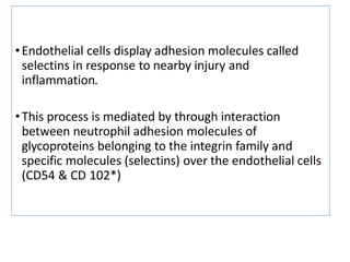 •Endothelial cells display adhesion molecules called
selectins in response to nearby injury and
inflammation.
•This process is mediated by through interaction
between neutrophil adhesion molecules of
glycoproteins belonging to the integrin family and
specific molecules (selectins) over the endothelial cells
(CD54 & CD 102*)
 