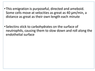 •This emigration is purposeful, directed and ameboid.
Some cells move at velocities as great as 40 μm/min, a
distance as great as their own length each minute
•Selectins stick to carbohydrates on the surface of
neutrophils, causing them to slow down and roll along the
endothelial surface
 