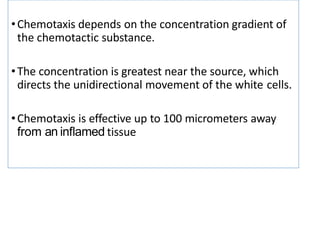 •Chemotaxis depends on the concentration gradient of
the chemotactic substance.
•The concentration is greatest near the source, which
directs the unidirectional movement of the white cells.
•Chemotaxis is effective up to 100 micrometers away
from an inﬂamed tissue
 