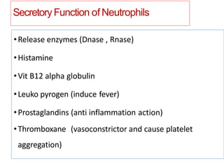 Secretory Function of Neutrophils
•Release enzymes (Dnase , Rnase)
•Histamine
•Vit B12 alpha globulin
•Leuko pyrogen (induce fever)
•Prostaglandins (anti inflammation action)
•Thromboxane (vasoconstrictor and cause platelet
aggregation)
 