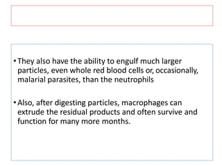 •They also have the ability to engulf much larger
particles, even whole red blood cells or, occasionally,
malarial parasites, than the neutrophils
•Also, after digesting particles, macrophages can
extrude the residual products and often survive and
function for many more months.
 