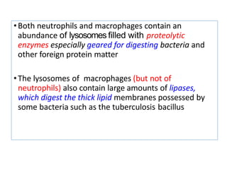 •Both neutrophils and macrophages contain an
abundance of lysosomes ﬁlled with proteolytic
enzymes especially geared for digesting bacteria and
other foreign protein matter
•The lysosomes of macrophages (but not of
neutrophils) also contain large amounts of lipases,
which digest the thick lipid membranes possessed by
some bacteria such as the tuberculosis bacillus
 