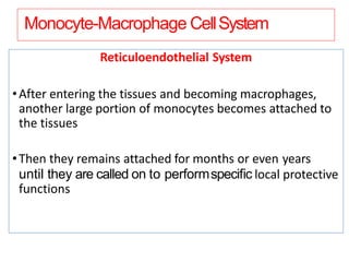 Monocyte-Macrophage CellSystem
Reticuloendothelial System
•After entering the tissues and becoming macrophages,
another large portion of monocytes becomes attached to
the tissues
•Then they remains attached for months or even years
until they are called on to performspeciﬁc local protective
functions
 