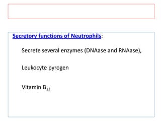 Secretory functions of Neutrophils:
Secrete several enzymes (DNAase and RNAase),
Leukocyte pyrogen
Vitamin B12
 